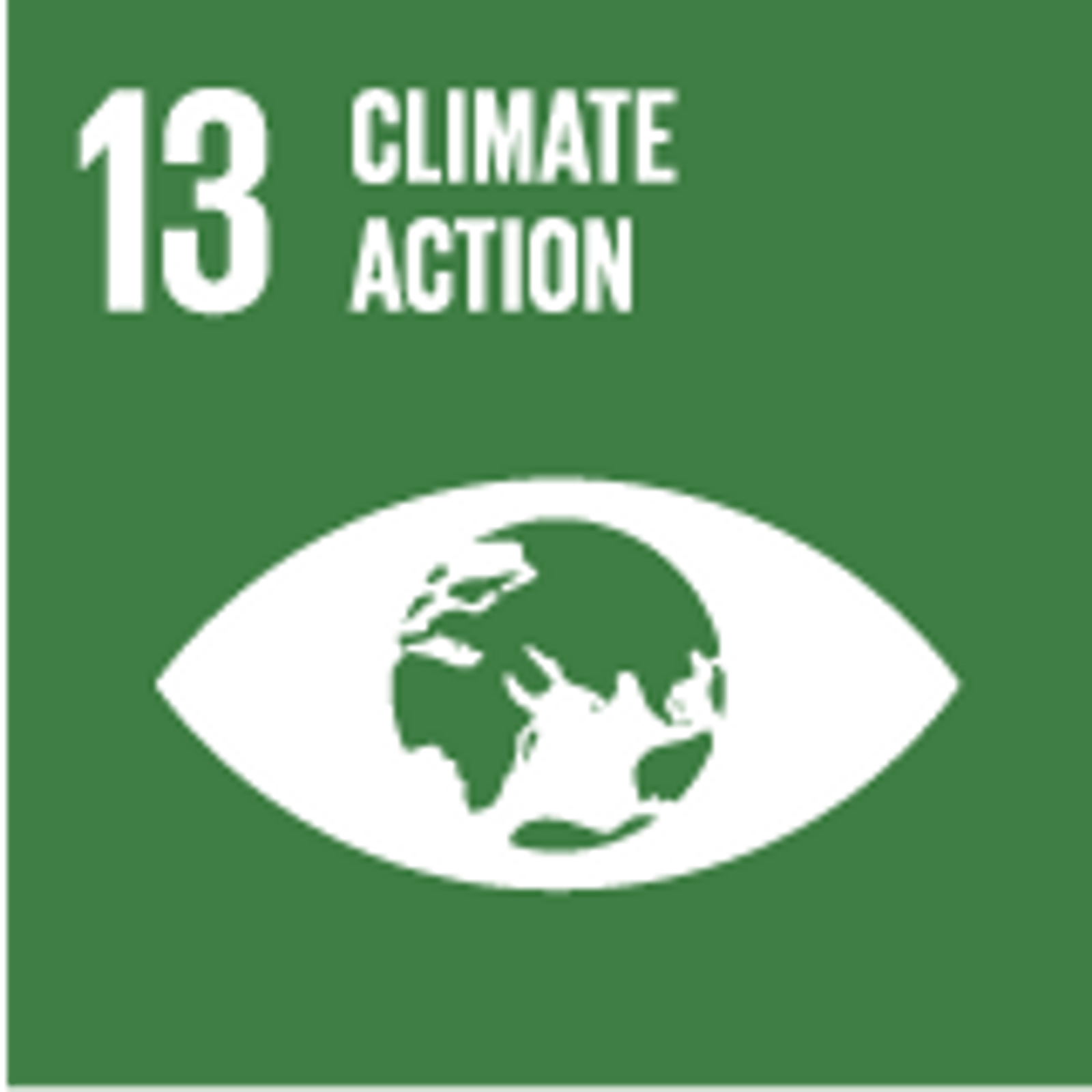 Global Goals _13 goal climate action.png